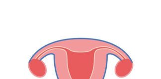 endometrio ispessito
