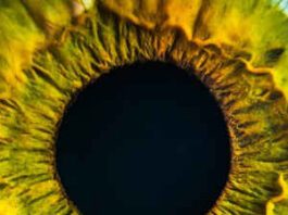 distacco della retina sintomi