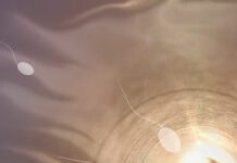 come curare l'infertilità maschile