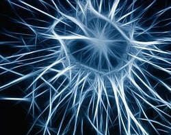 neuroni e alzheimer