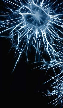 neuroni e alzheimer