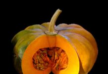 allergia ai semi di zucca