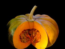 allergia ai semi di zucca